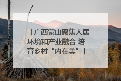 广西蒙山聚焦人居环境和产业融合 培育乡村“内在美”